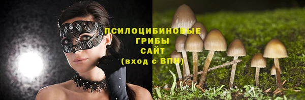 ALPHA-PVP Аркадак