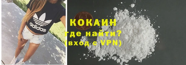 молекула духа Арсеньев