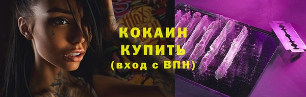 молекула духа Арсеньев