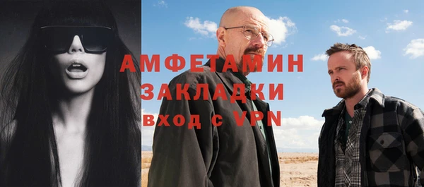 молекула духа Арсеньев