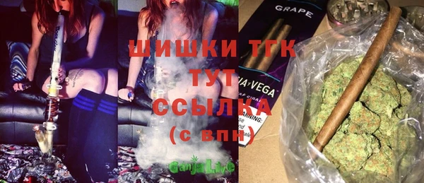 молекула духа Арсеньев