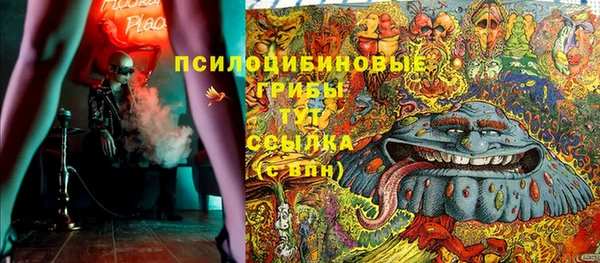 молекула духа Арсеньев