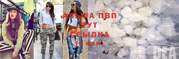 молекула духа Арсеньев