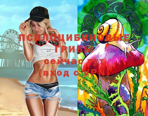 молекула духа Арсеньев