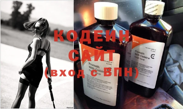молекула духа Арсеньев
