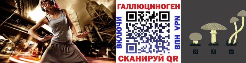 Галлюциногенные грибы MAGIC MUSHROOMS  где купить наркоту  Саки 