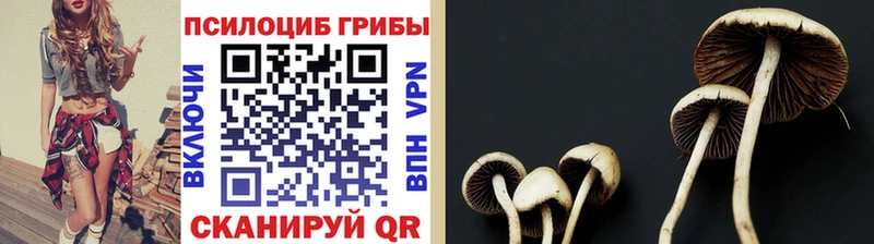 Псилоцибиновые грибы мухоморы Саки