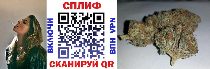Канабис семена  hydra зеркало  Саки 